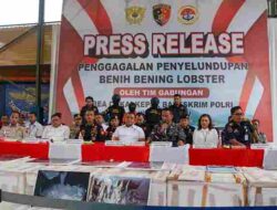 Tim Satgas Gabungan Berhasil Amankan Boat High Speed Craft Yang Membawa 28 Box Benig Lobster di Perairan Batam