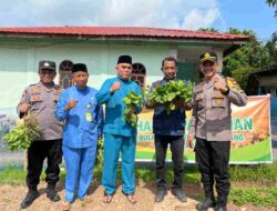 Dukung Program Asta Cita Ketahanan Pangan Nasional, Polsek Bulang Sukses Panen Sayuran