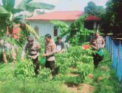 Tetap Dukung Program Ketahanan Pangan Nasional, Polsek Bulang Ubah Lahan Tidur Jadi Ladang Pangan