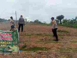 Dukung Ketahanan Pangan, Polsek Bulang Kembangkan Lahan Setengah Hektar Untuk Nanam Jagung