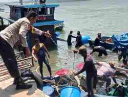 KM Senang Hati 68 Karam di Perairan Setokok, PT Buana Berkah, Tidak Ada Penjarahan Kelapa, ini Murni Musibah
