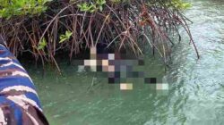 Setelah Beberapa Hari Pencarian, Setia Budi (24) Ahirnya ditemukan Meninggal Oleh Tim SAR Gabungan