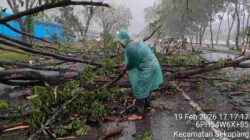 Kapolsek Sekupang Respon Cepat Atasi Pohon Tumbang di Jalan RE Martadinata Sekupang