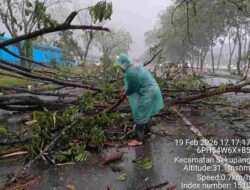 Kapolsek Sekupang Respon Cepat Atasi Pohon Tumbang di Jalan RE Martadinata Sekupang