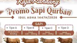 Berikan Kurban Terbaik Anda di Raja Kandang, Beli 3 Ekor Sapi Free 1 Ekor Kambing