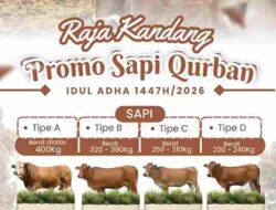 Berikan Kurban Terbaik Anda di Raja Kandang, Beli 3 Ekor Sapi Free 1 Ekor Kambing