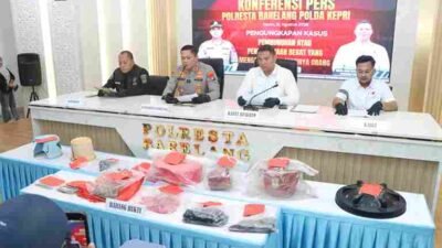 Kesal dimarahi Majikan, Pembantu di Batam Pukul dan Tusuk Majikan dengan Pisau Hingga Tewas